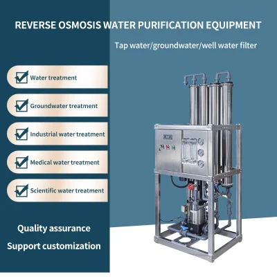 Sistema RO ad osmosi inversa da 500 litri, apparecchiature per il processo dell'acqua pura, desalinizzazione